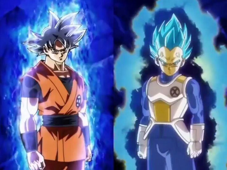 Goku And Vegeta