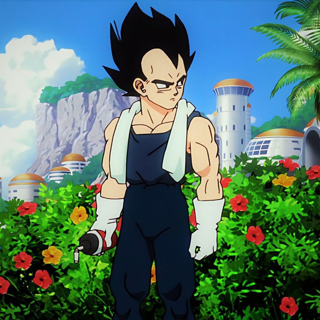 Vegeta past