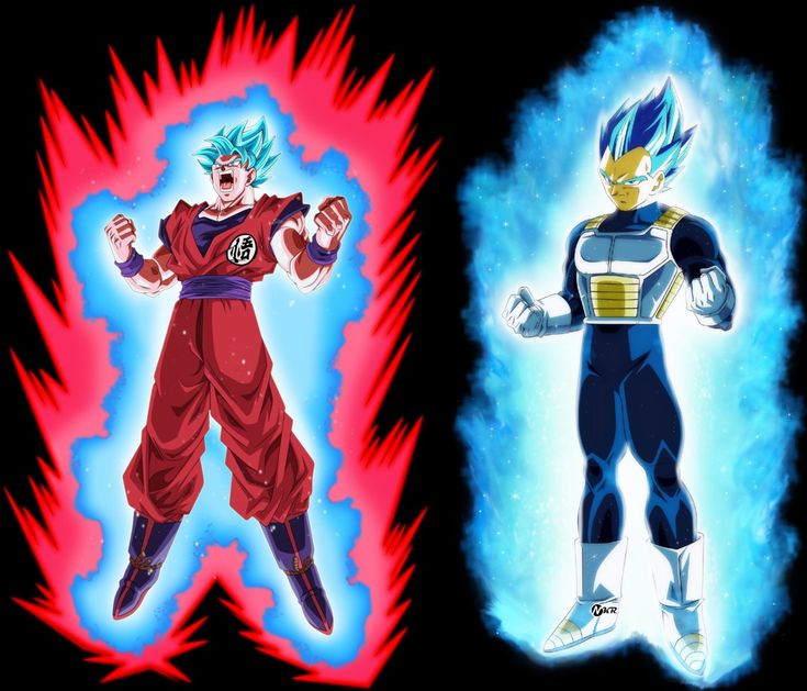 goku and vegeta 