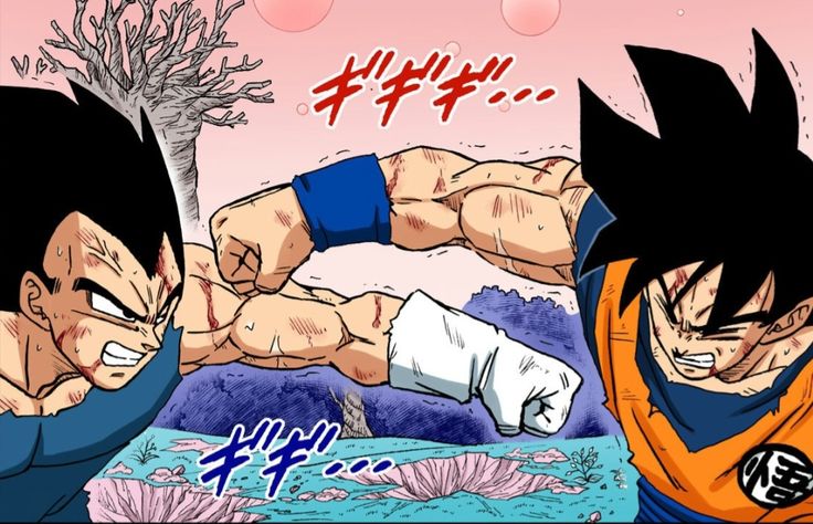goku vs vegeta