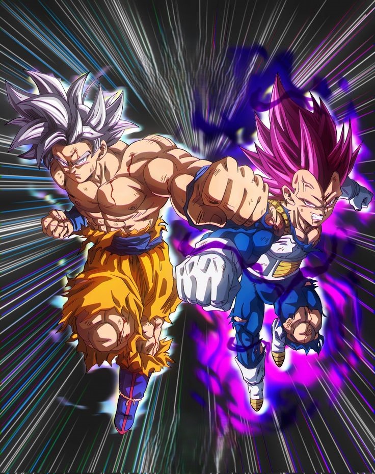 Goku And Vegeta