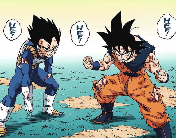 goku and vegeta