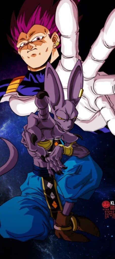 beerus and vegeta