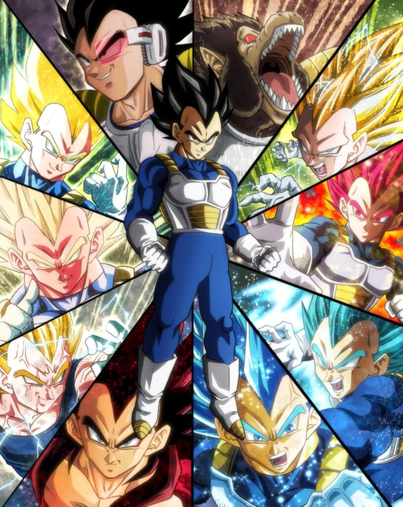 Vegeta All Forms